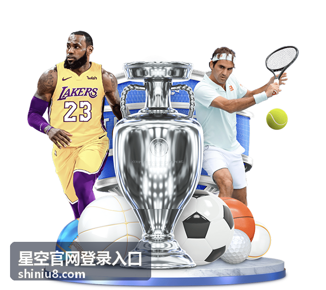星空官网登录入口登录指引流程的完整操作路径示意