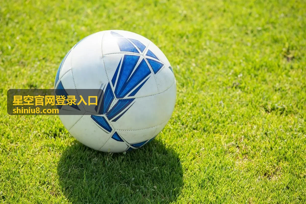 星空官网登录入口短信与图形验证码的填写方式
